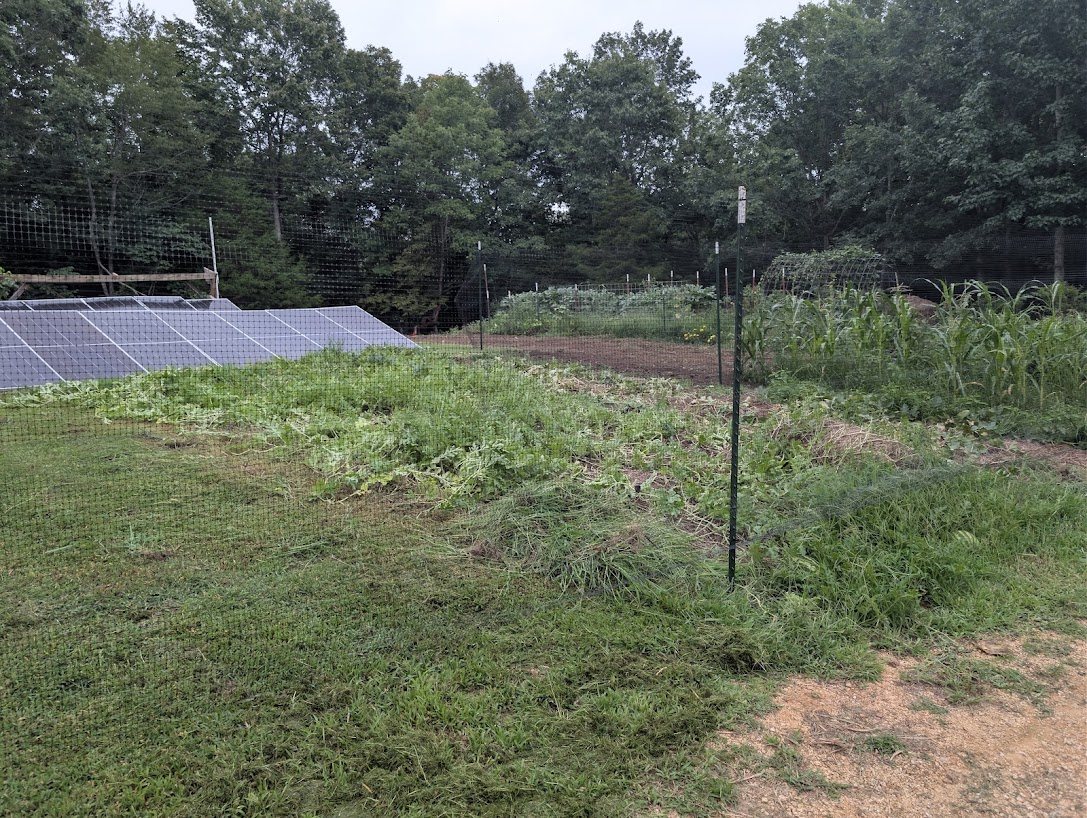 Fenced solar array beside a garden