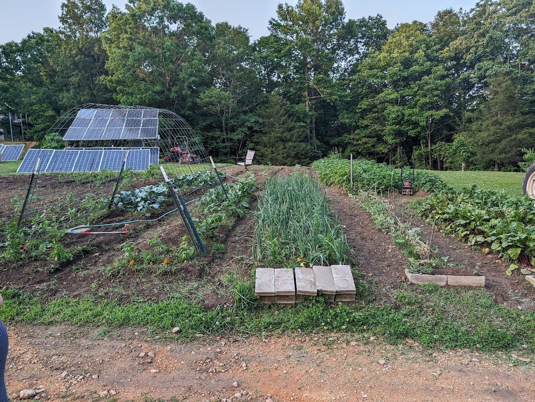Garden with solar arrays in the background